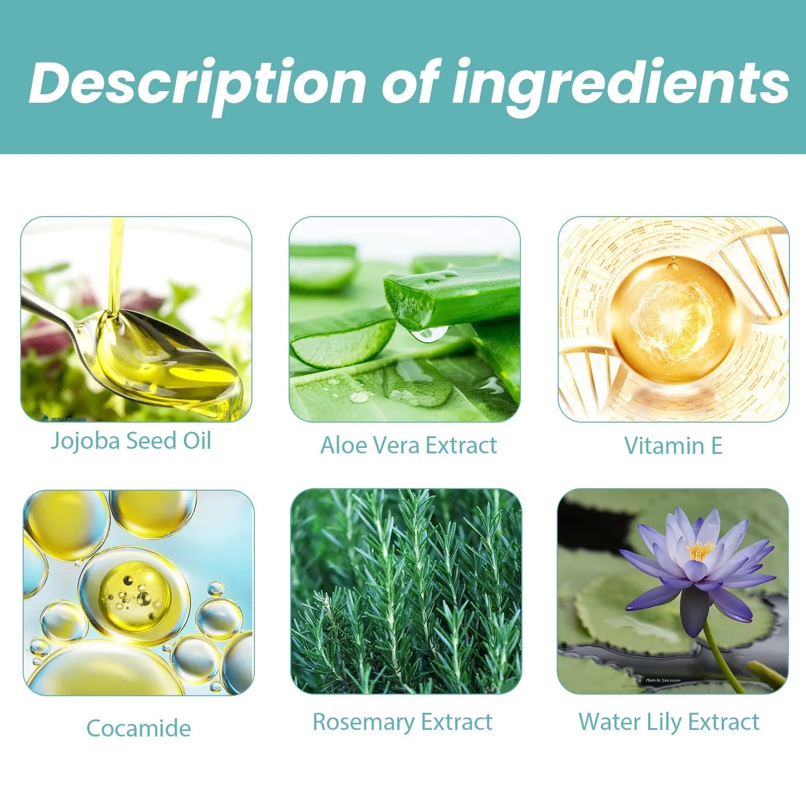 Estely - EELHOE Moisturizing Shower Oil for Soft Healthy Pet Skin - Pet Shampoo & Conditioner