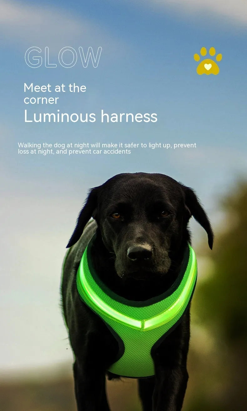 Estely - LED USB Rechargeable Reflective Safety Dog Harness for Pets - Dog Harnesses