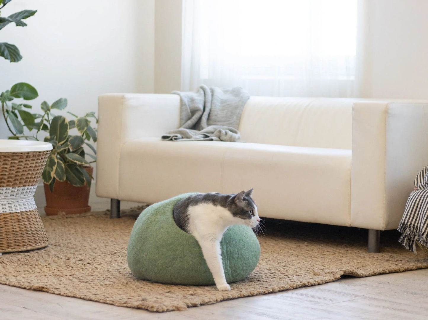 Eucalyptus Green round cave by Fuzzy Cove for cats, available in Regular and Large sizes, perfect for cozy lounging.