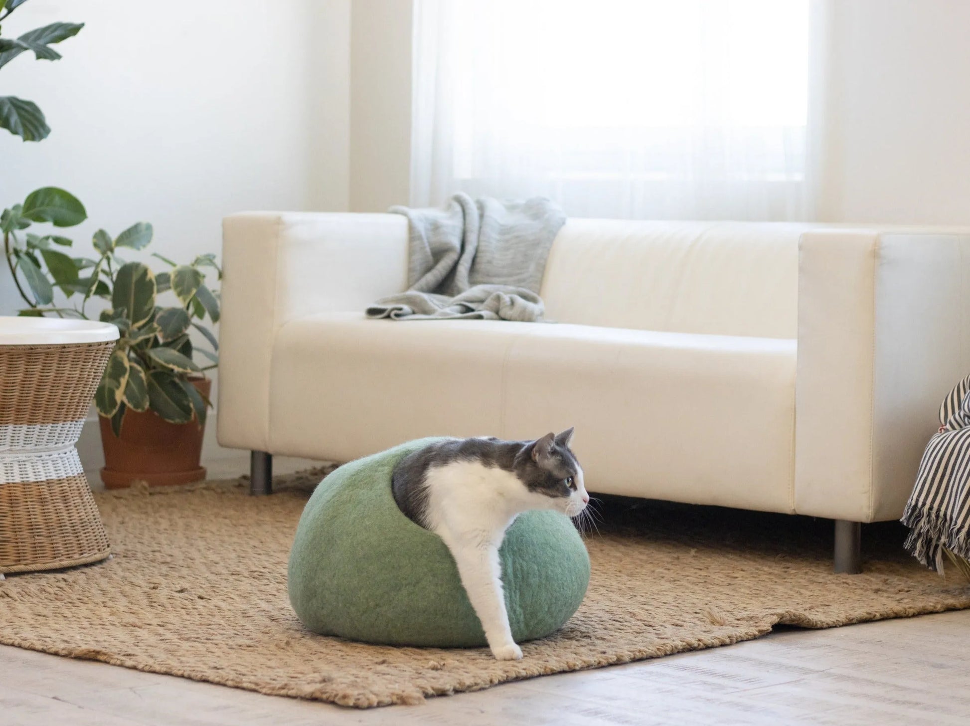 Eucalyptus Green round cat cave by The Family Pet, available in Regular and Large sizes, perfect for cozy feline retreats.