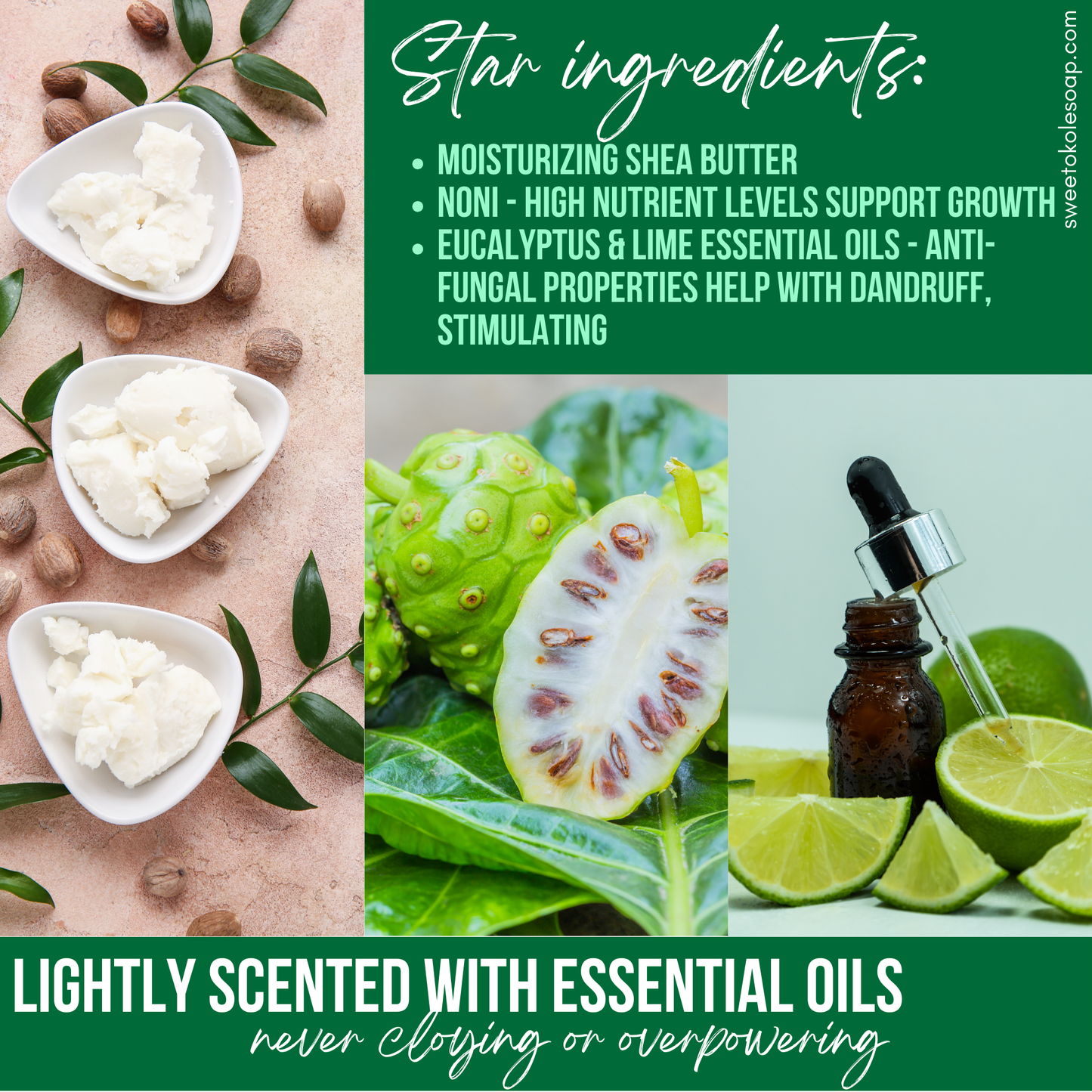 Natural Conditioner Bar - Eucalyptus & Lime Essential Oils with