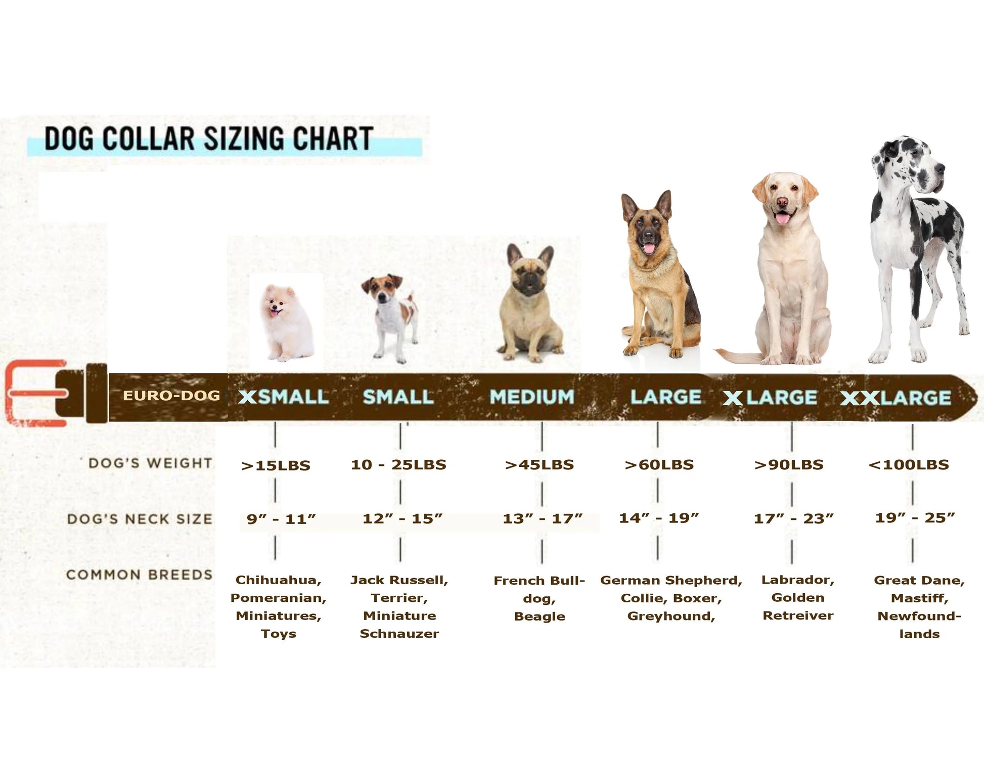 Euro-Dog Collars and Leads - Pro Line Hunting Leather Collar and Leash Set - dog collars > leather dog collars > quality l...