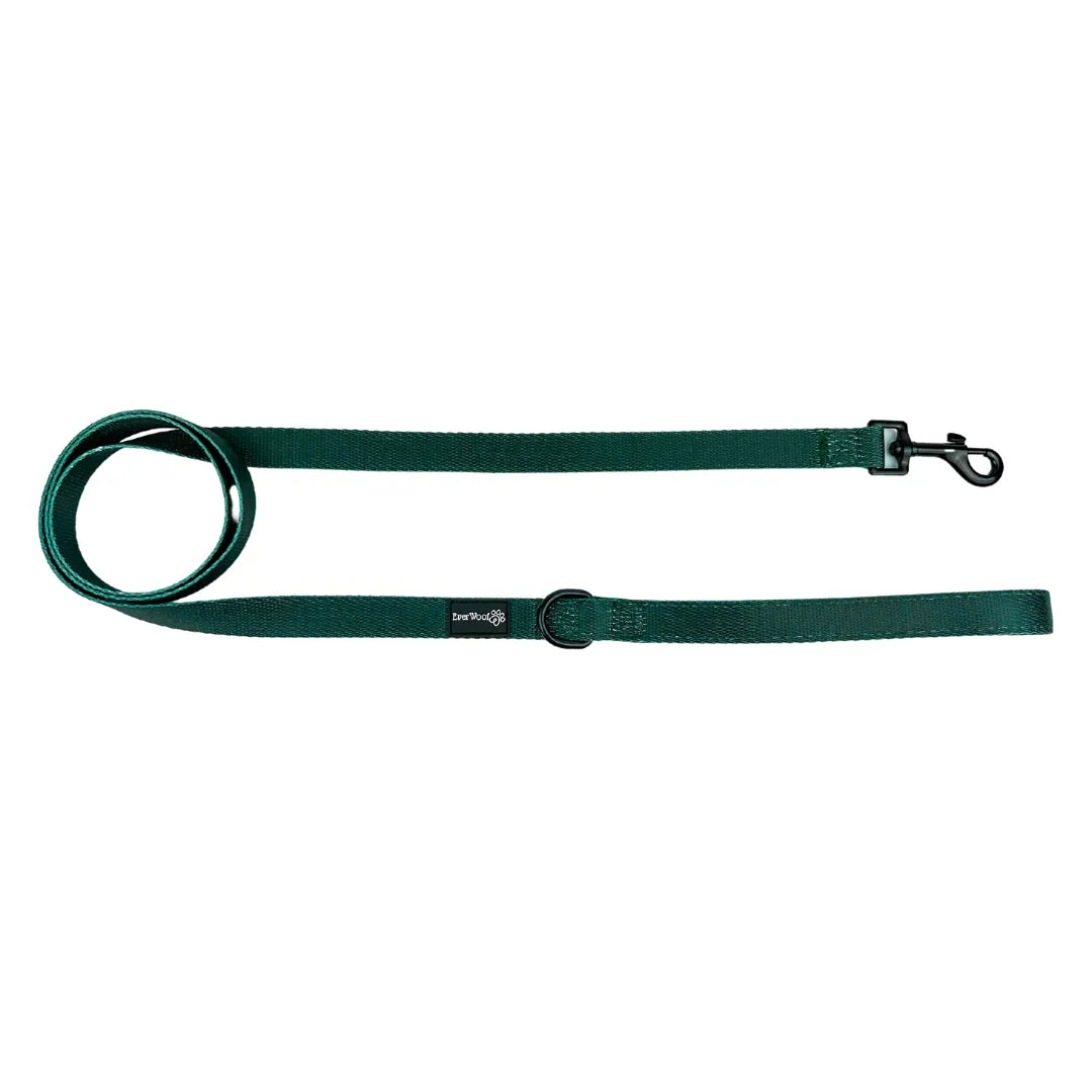 Evergreen Dream 5ft dog leash by Purrfect Pet Kingdom, featuring a neoprene comfort grip, available in solid and patterned...