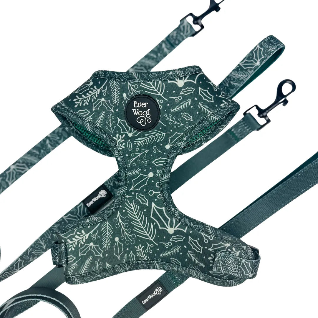 Evergreen Dream 5ft Dog Leash by Purrfect Pet Kingdom, featuring a neoprene padded comfort handle, available in solid and ...