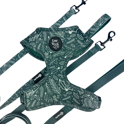 Evergreen Dream 5ft Dog Leash by Purrfect Pet Kingdom, featuring a neoprene padded comfort handle, available in solid and ...