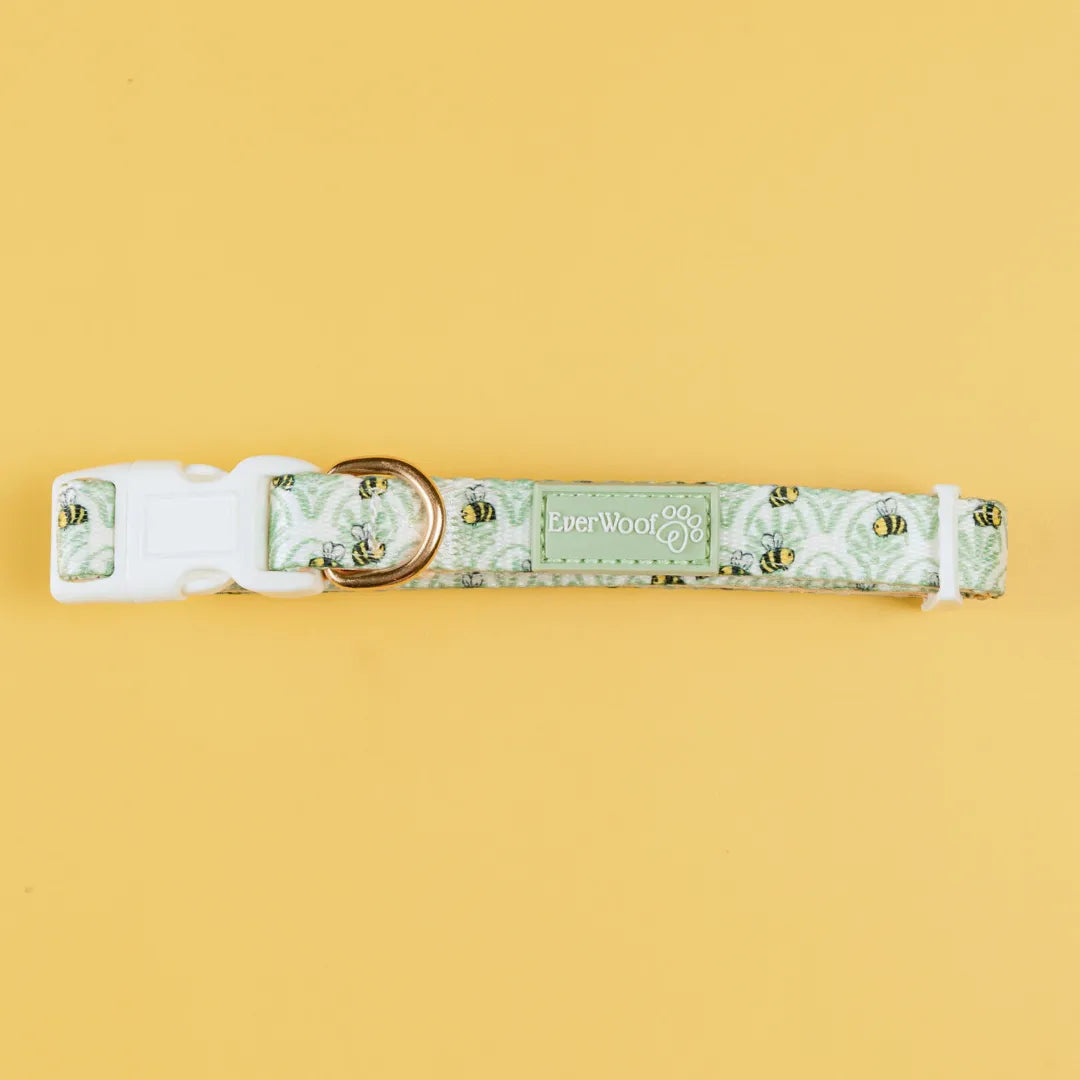 Little Honey Padded Neoprene Dog Collar Adjustable Polyester. Light green bee pattern, white buckle, and gold D-ring.