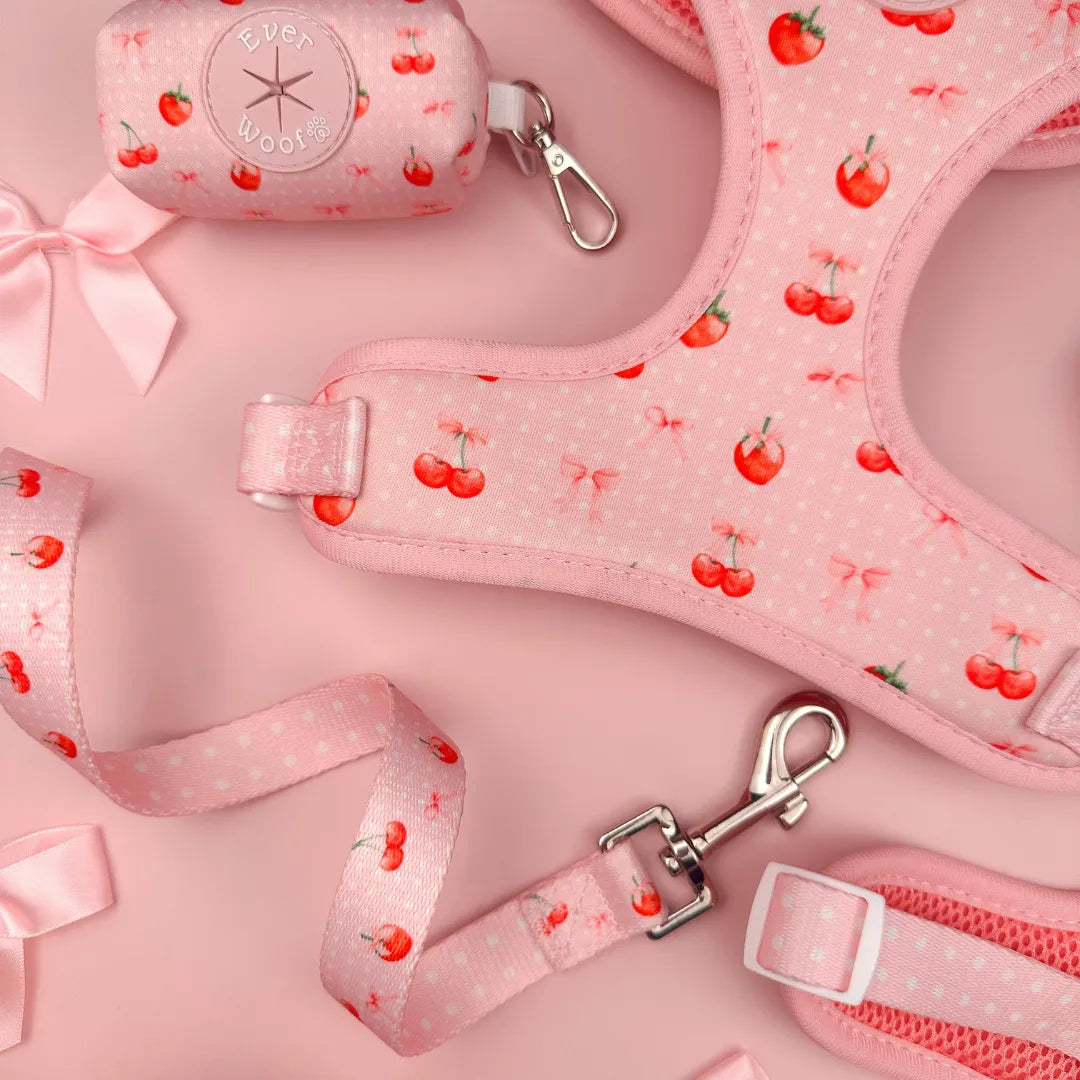 EverWoof - Purrfect Pet Kingdom Sweet Chérie Leash - Leashes