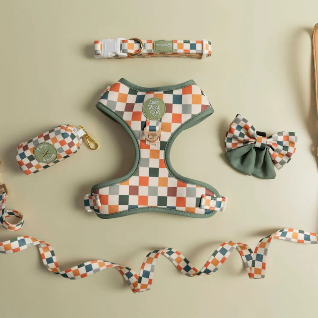 Sage & Cider Durable Padded Dog Collar, Purrfect Pet Kingdom. Checkered sage and orange harness, leash, and collar set.