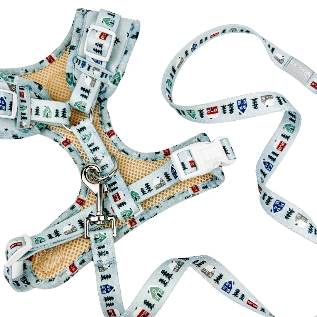 EverWoof - Snowy Slopes Leash - Leashes