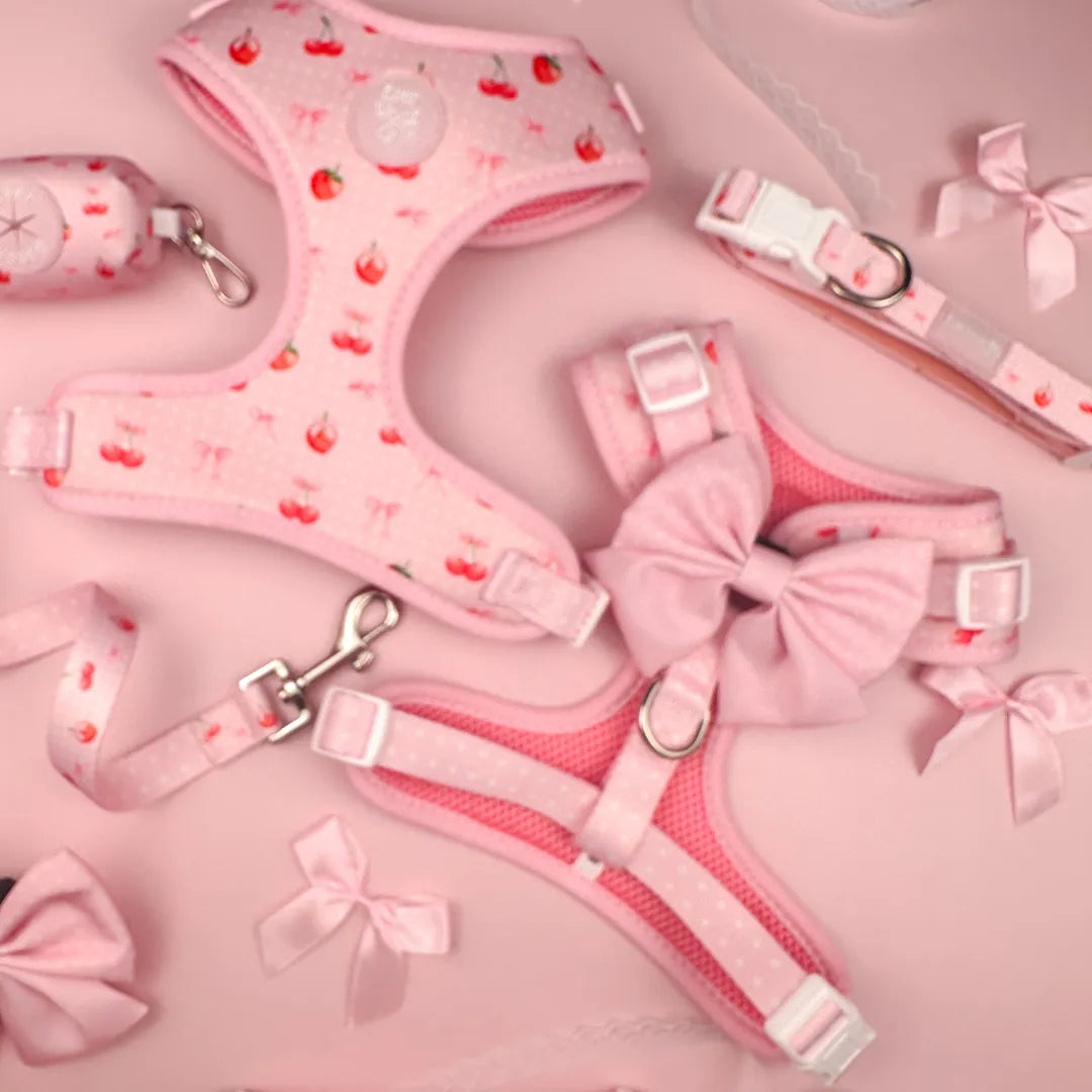 EverWoof - Sweet Chérie Collar - Collars