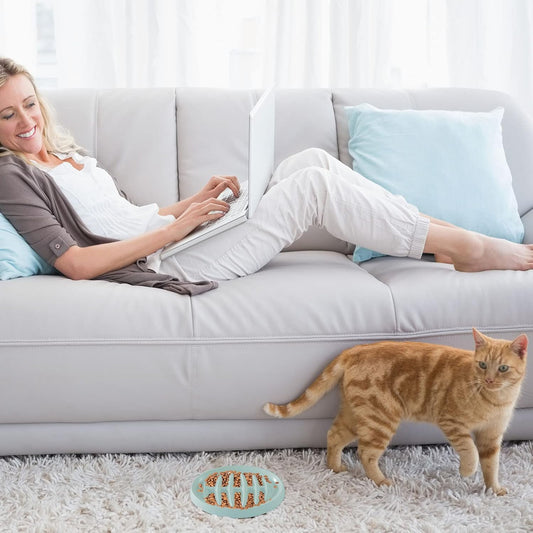 Cat Slow Feeder Bowl Slow Feed Cat Dish Fishbone Cat Slow