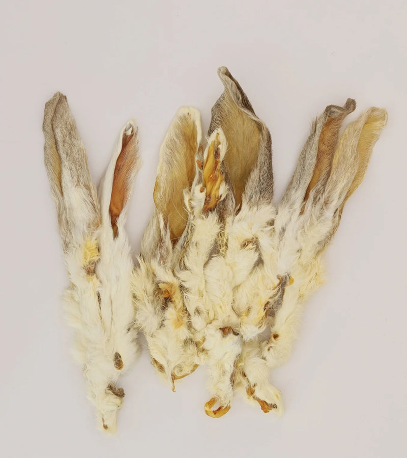 Rabbit Ear - 1 Count