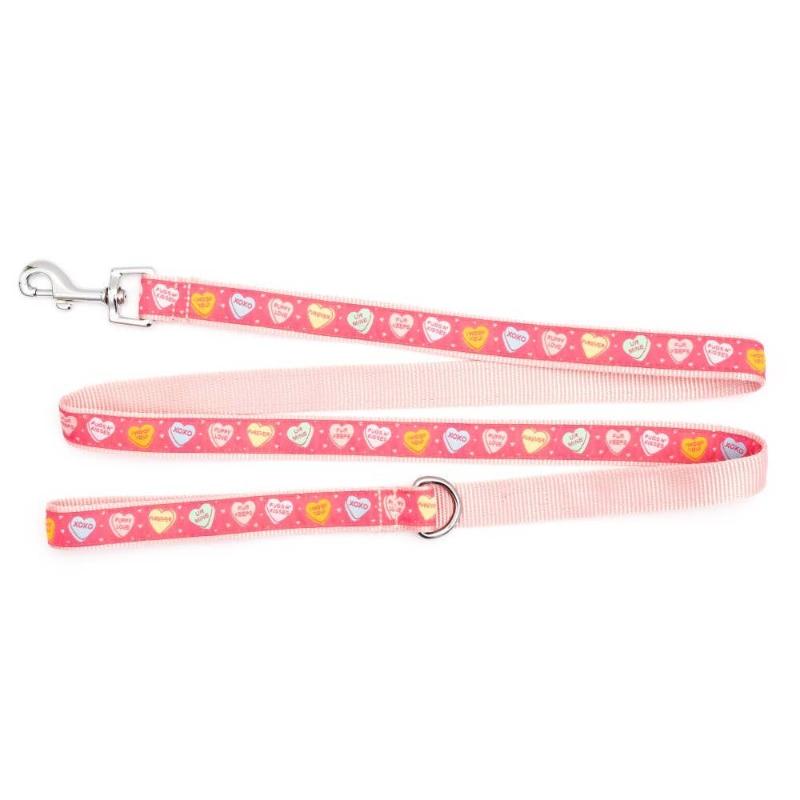 Puppy Love Hearts Pink Dog Leash - 2 Sizes