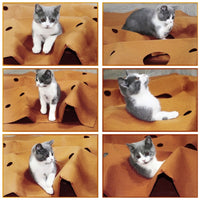 Collapsible Cat Playing Mat