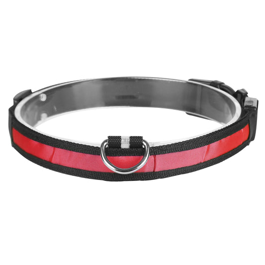 GBruno LED Dog Collar