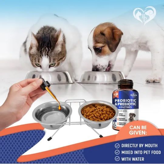 Pet Probiotics - Digestive Enzymes & Prebiotics for Dogs