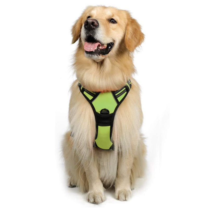 Dog Hand Holding Rope Reflective Vest