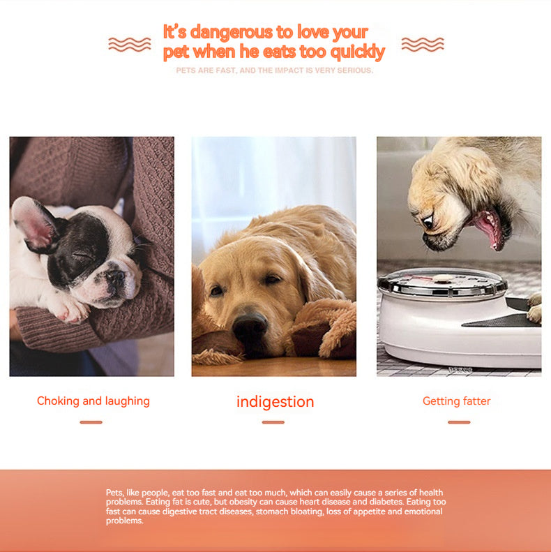 Pet Rotating Cutting Slow Food Plate Stainless Steel