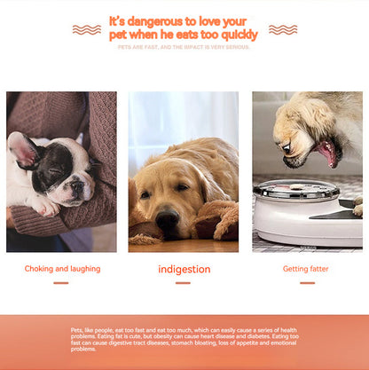 Pet Rotating Cutting Slow Food Plate Stainless Steel