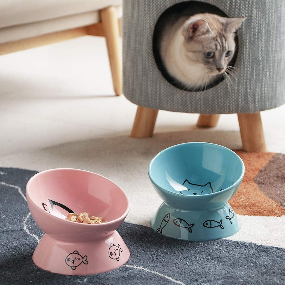 Cat Bowl Raised Elevated Dry Wet Food Ceramic 🐱