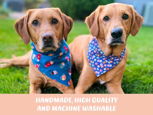 Dog Bandana Adventure Outdoor Pet Scarf Hiking