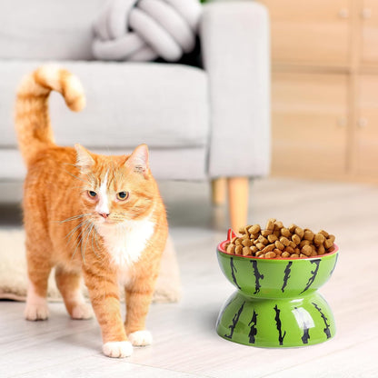 Purrfect Pet Kingdom Ceramic Raised Cat Bowl 5In Elevated Wide Cat Bowl For Food (Pitaya) - Premium Pet Bowls & Feeders