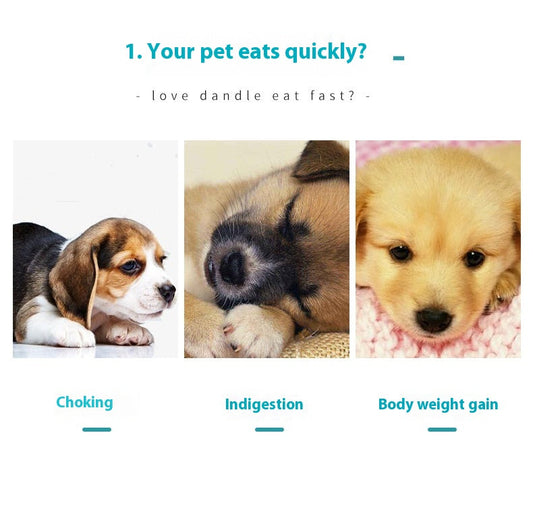 Slow Feeder Pet Bowl Anti Choke Dish for Dogs and Cats Healthy