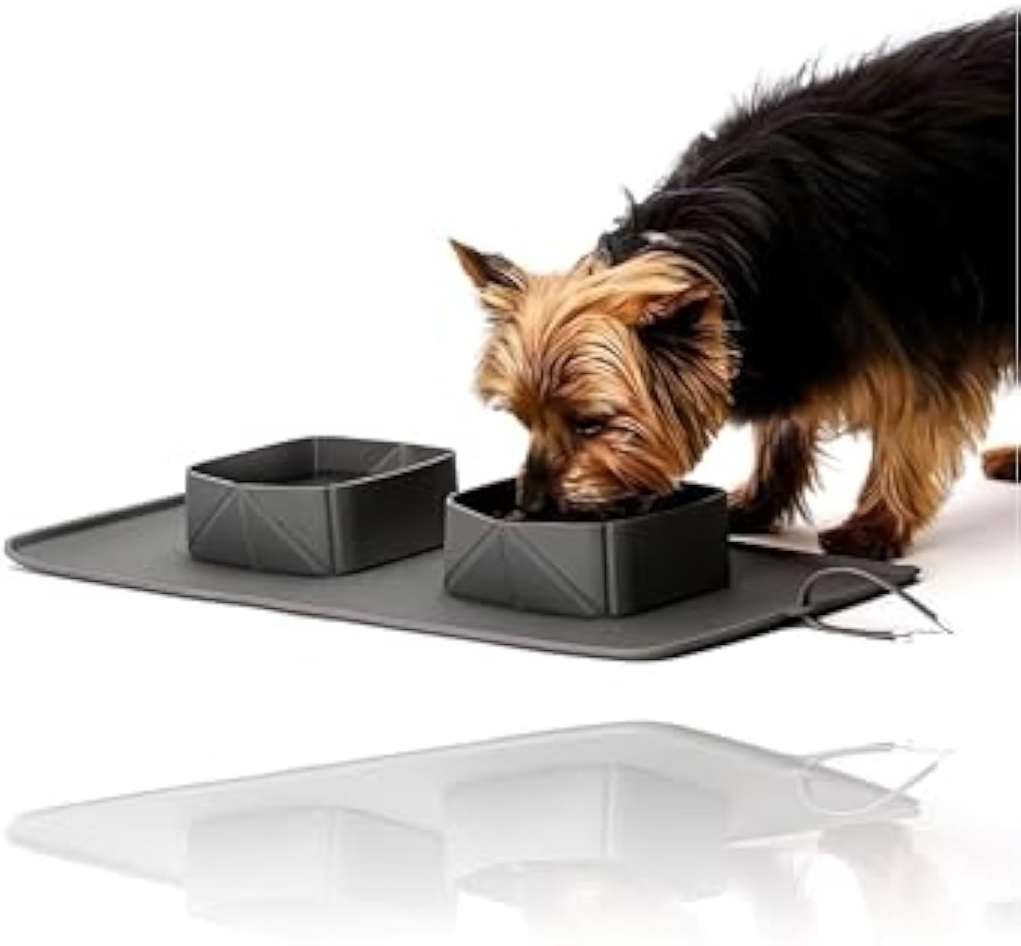 Generic Portable Pet Feeder Silicone Bowls For Dog And Cat