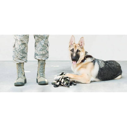 Z-Stitch Grunterz Camron the Camo Gator Dog Toy