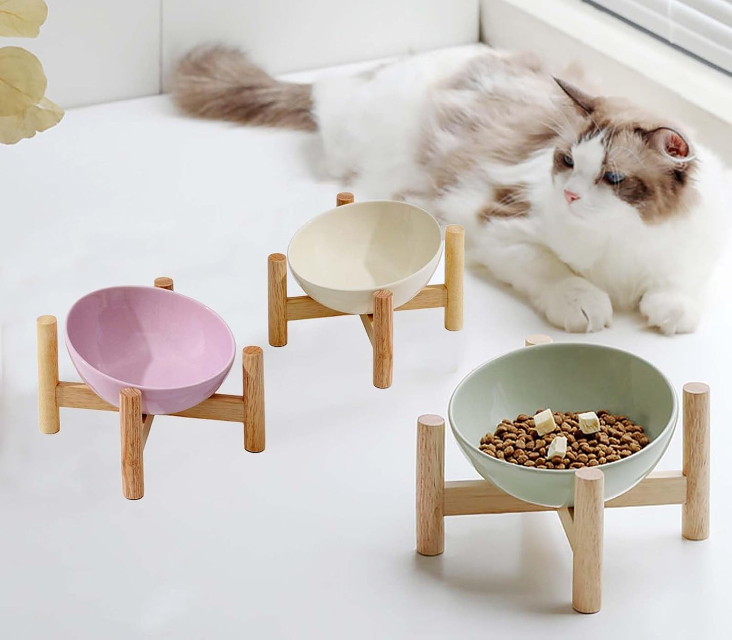 Elevated Raised Bowl For Indoor Cats, Cat Basic Bowls Dish