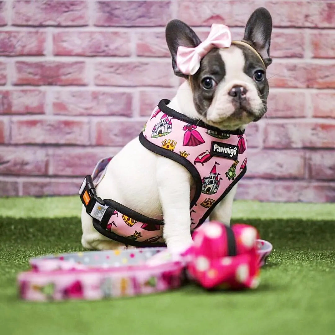 Fairytail Leash Kit by Purrfect Pet Kingdom in vibrant colors, perfect for stylish pet walks. Size and variant details ava...