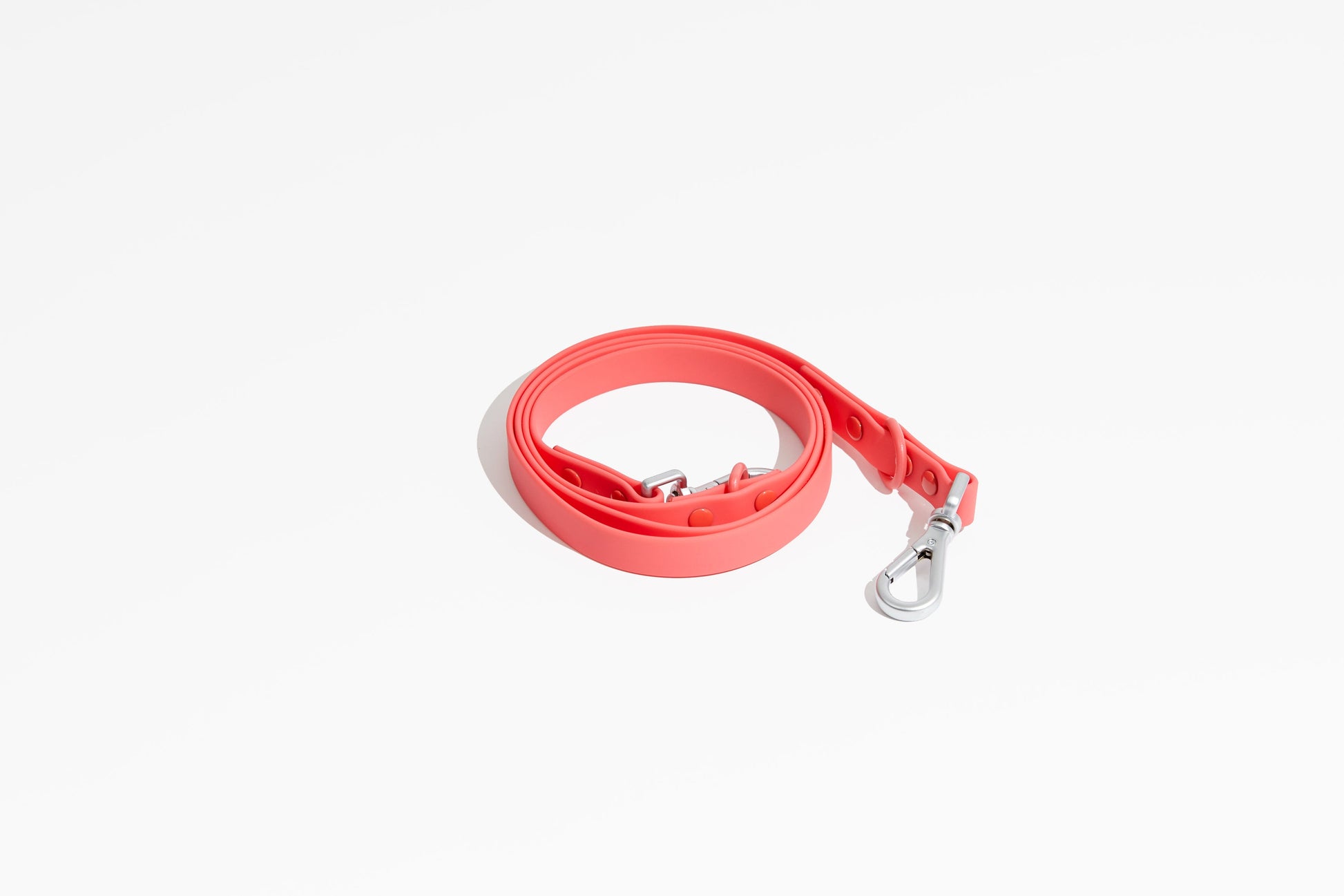Luxe Leash - Poppy - Dog Leashes - Pawmigo
