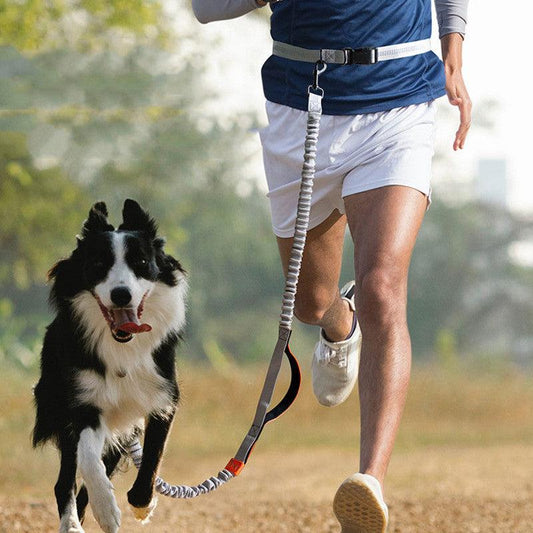 Ultimate Outdoor Adventure Dog Leash - Pets - THRIXINE