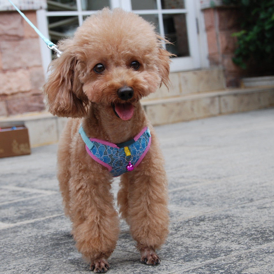 Fashion Lace Mesh Fabric Traction Rope