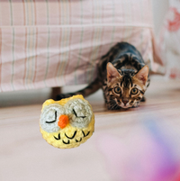 Yolk the owl | lightweight cat toy
