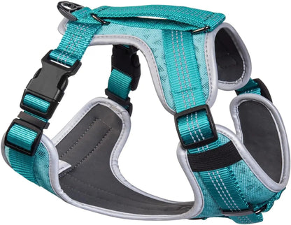 No-Pull Teal Dog Harness for Dogs – Breathable Vest Large