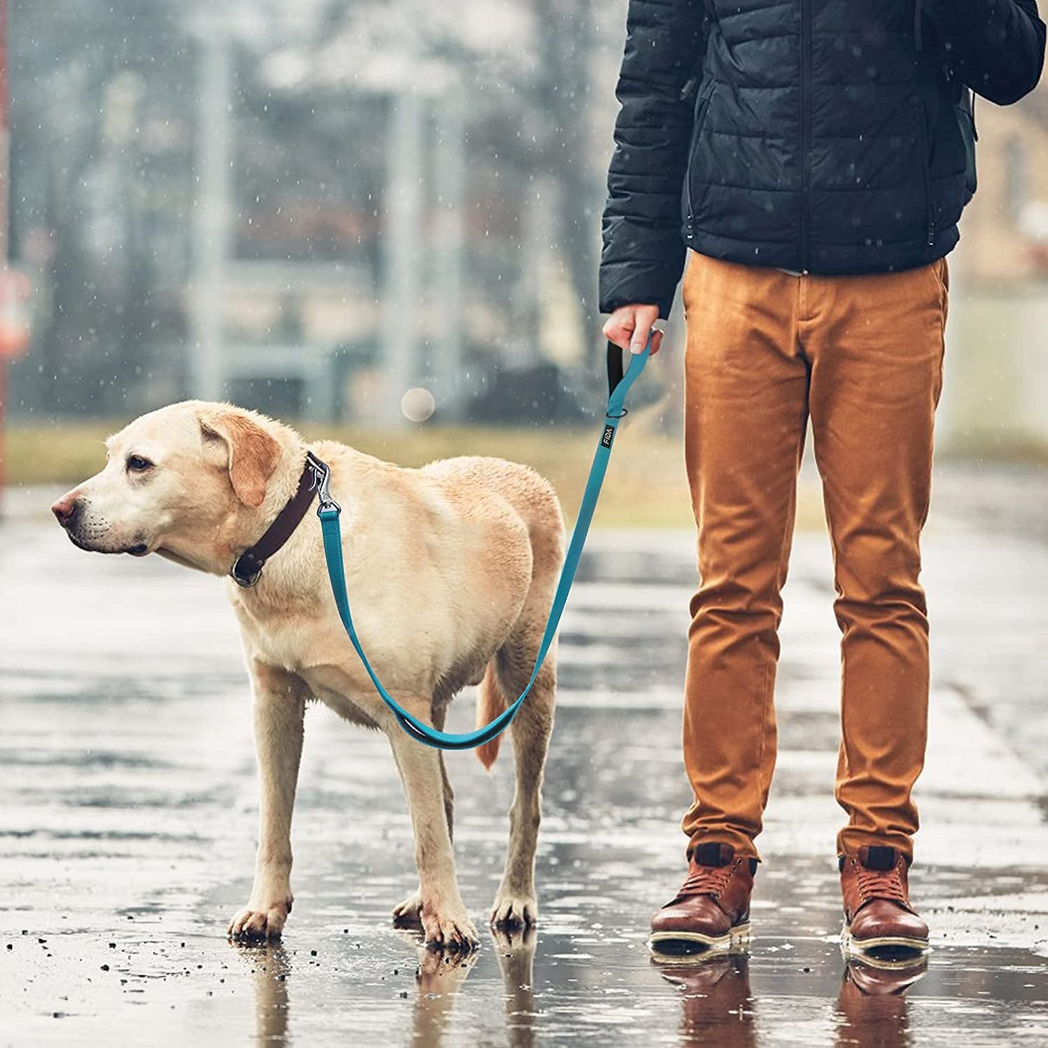 A person walking a Labrador on a 5 foot durable dog leash for large dogs in the rain