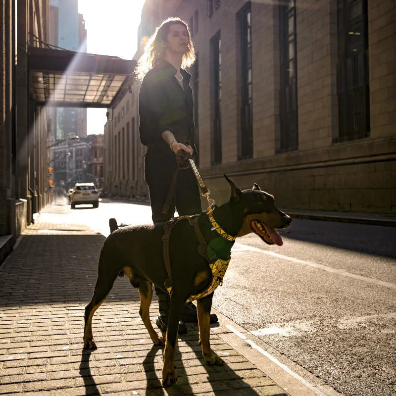 FLIPSTYLEZLLC - Dog Harness and Traction Rope Set Comfortable Vest Style - 0