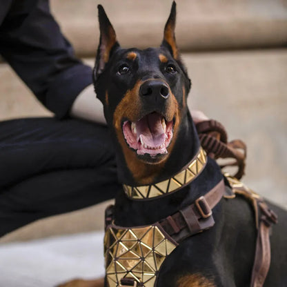 FLIPSTYLEZLLC - Glamorous Sequined Leather Dog Harness and Traction Rope Set