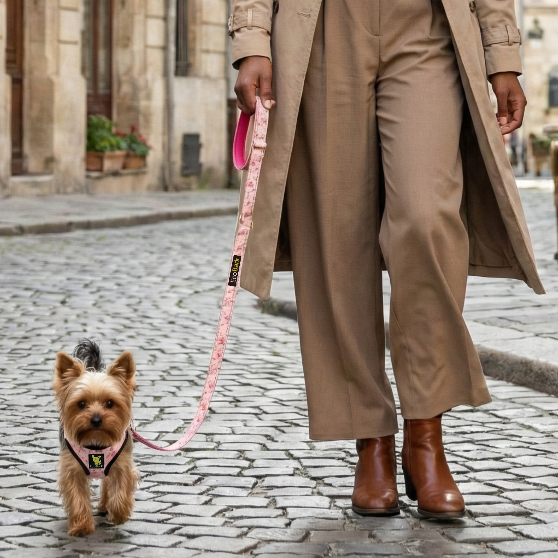 Eco Style Dog Leash for Daily Walks for Royal Pet Homes - Dog Leash view 5 from Purrfect Pet Kingdom