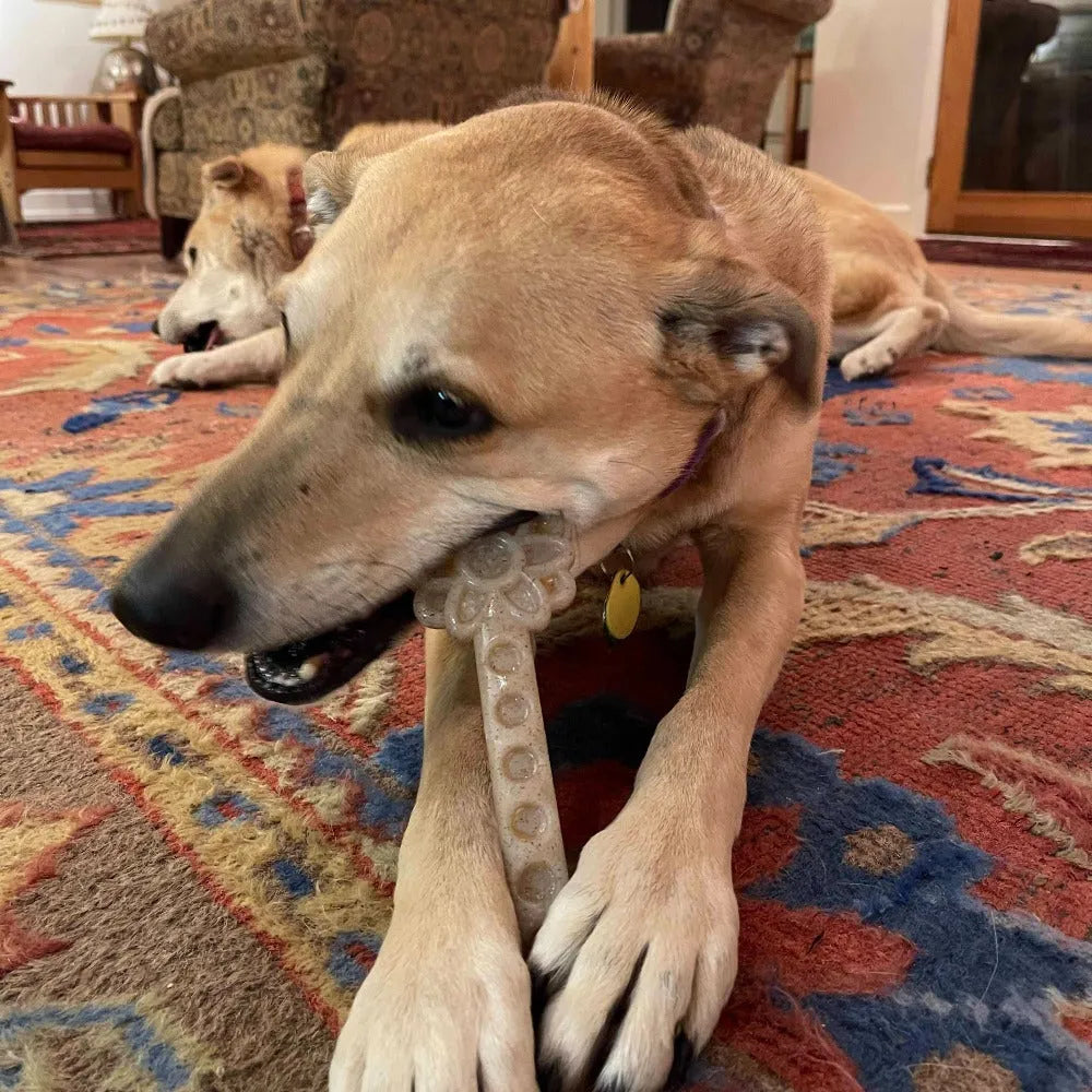 Flower Tower Nylon Chew Toy by SodaPup, USA-made, designed for aggressive chewers, priced at $10.99, vibrant color, durabl...