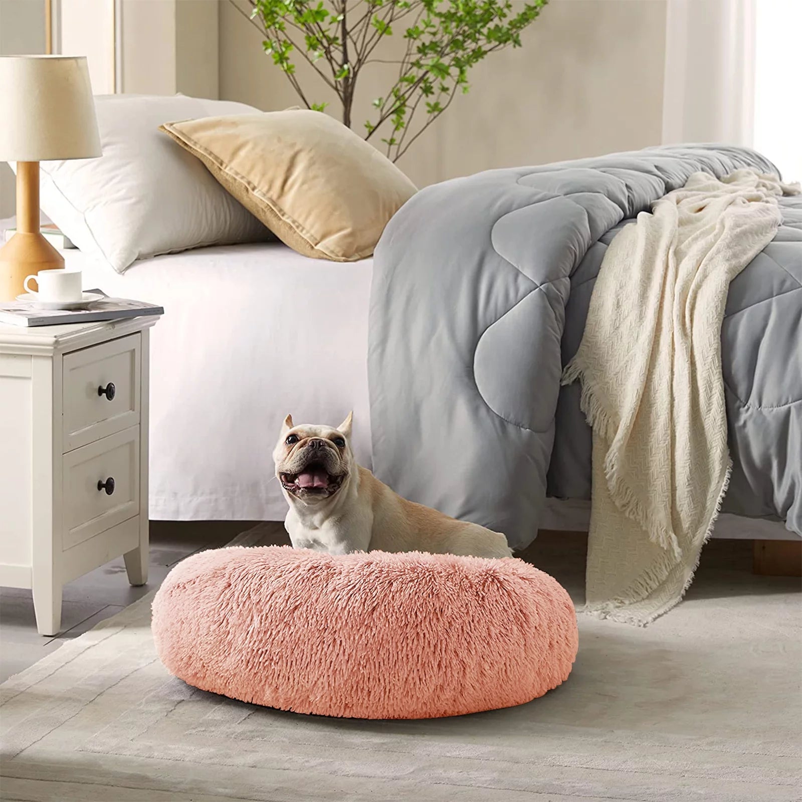 Cozy fluffy donut cat bed in pink with a dog relaxing beside a bed in a stylish room