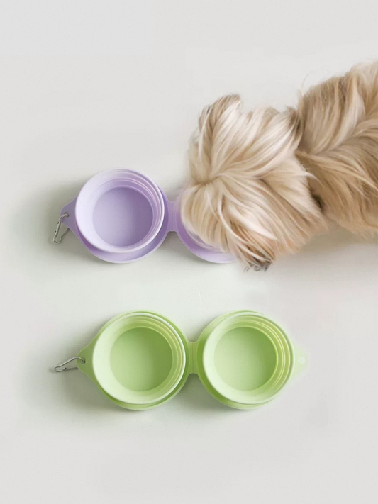 Purrfect Pet Kingdom foldable pet travel bowl in purple and green for easy outdoor feeding
