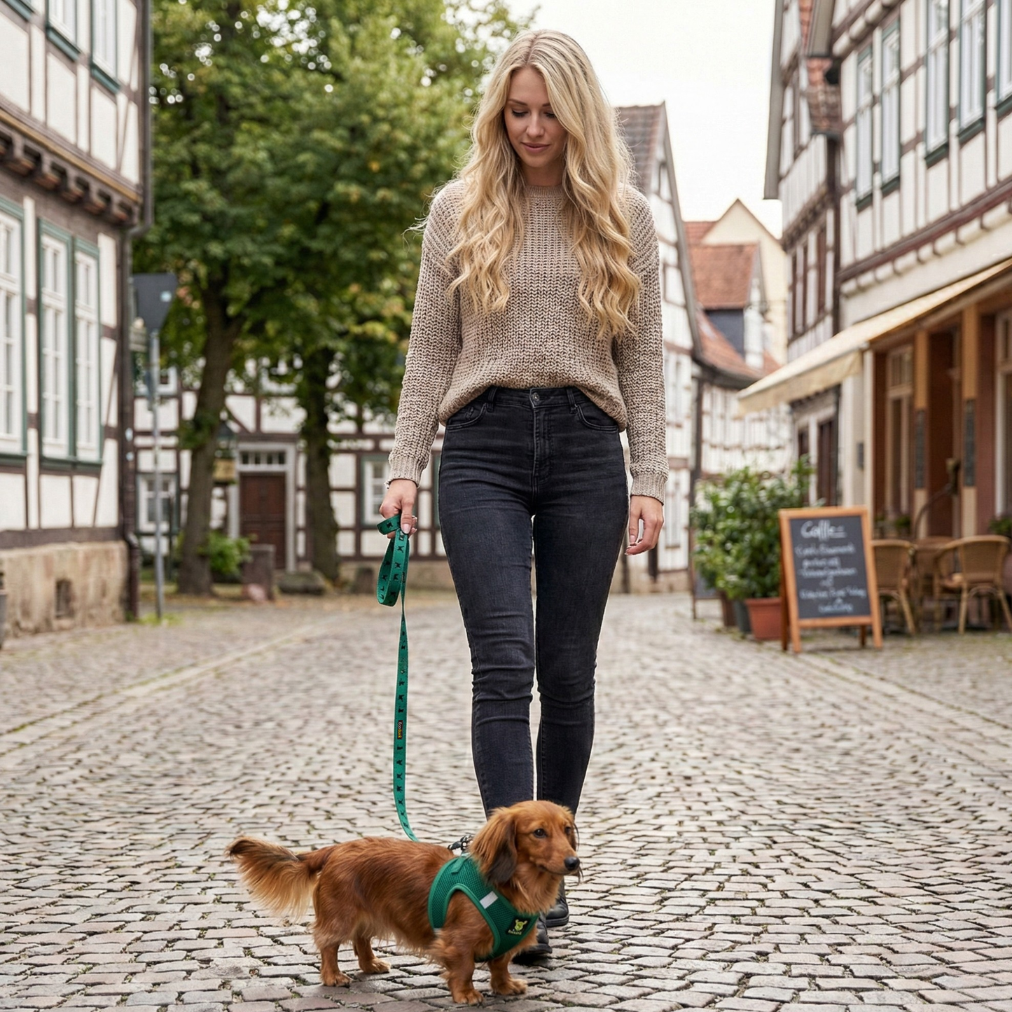 Dog Harness EcoBark Step In Harness XXXS to Small Breeds- - gallery product image for dog harness