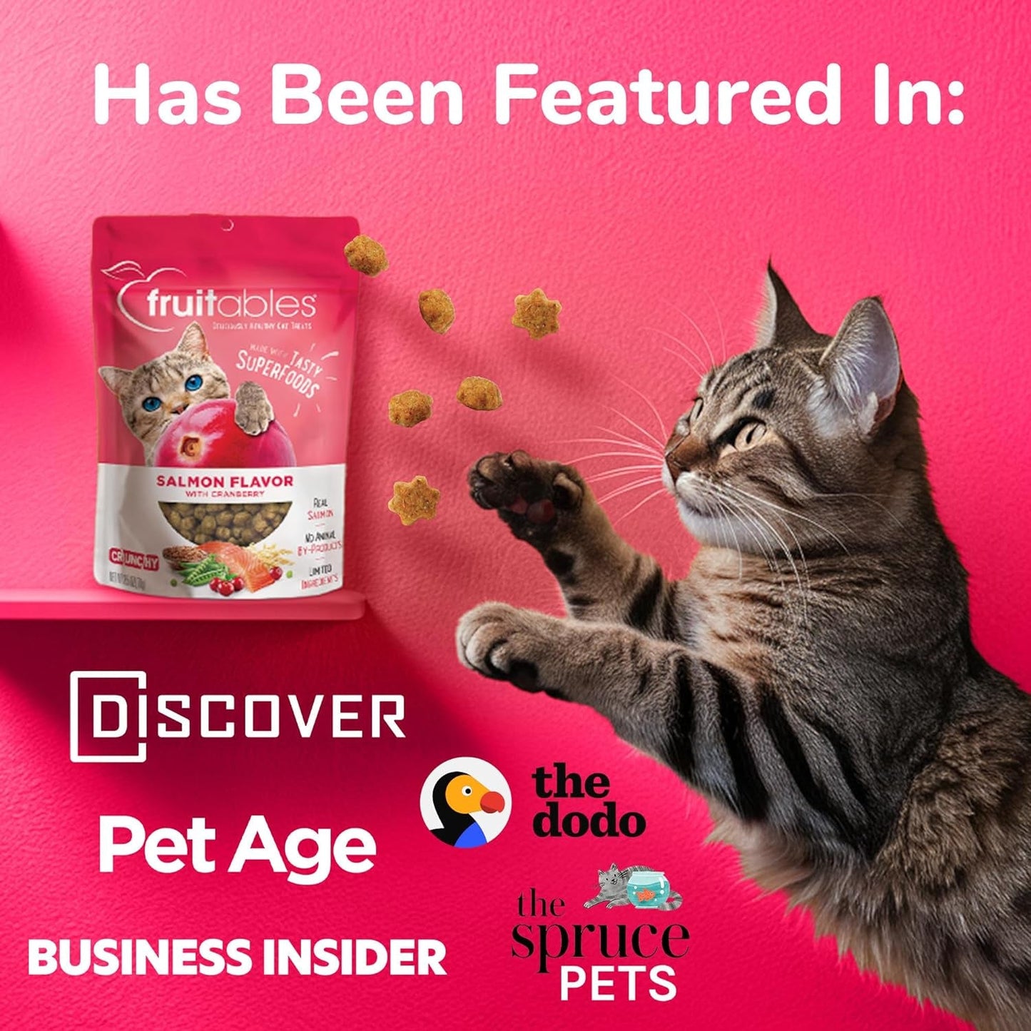 MJ's Pet Closet Grain Free Salmon Cat Snacks bag with a playful cat and treats scattered around
