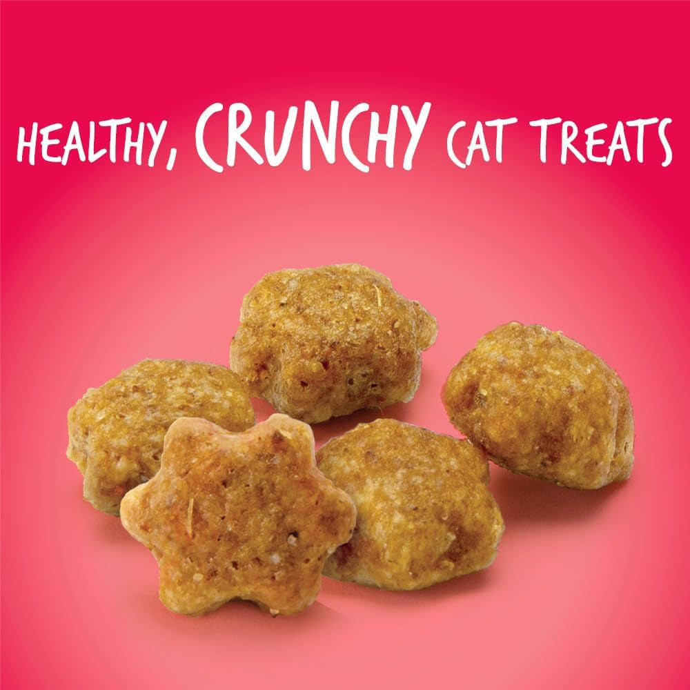 Healthy crunchy cat treats shaped like stars, made with grain free salmon cat snacks