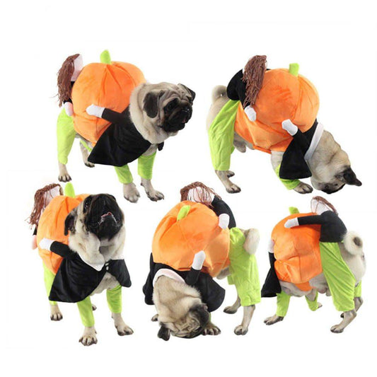 Purrfect Pet Kingdom Funny Halloween Outfits for Pets Purrfect Pet Kingdom