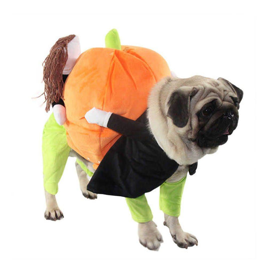 Purrfect Pet Kingdom Funny Halloween Outfits for Pets X-Small Orange Purrfect Pet Kingdom