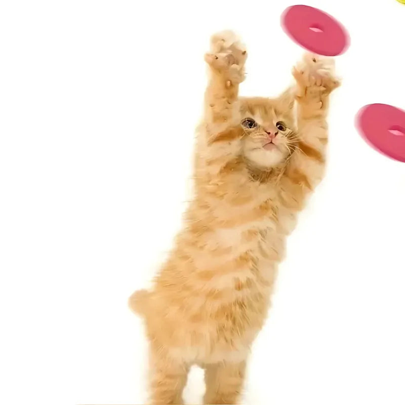 Funny Turnip Gun Cat Toy by WTN Essentials, an interactive foam launcher for active cats and dogs, perfect for playtime.