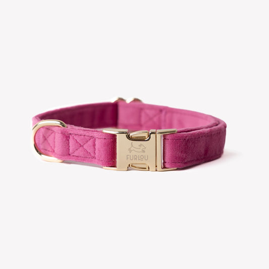 FURLOU Velvet Dog Collar in stylish pink with a gold buckle for dogs of all sizes